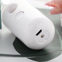 Load image into Gallery viewer, Nano Mist Sprayer