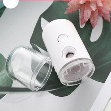 Load image into Gallery viewer, Nano Mist Sprayer