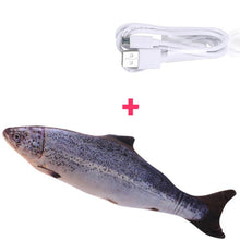 Load image into Gallery viewer, Moving Fish Cat Toy