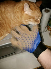 Load image into Gallery viewer, Pet Grooming Glove for Cats, Dogs & Horses