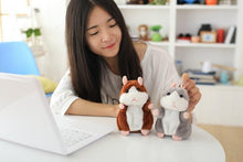Load image into Gallery viewer, Lovely Talking Hamster Toys
